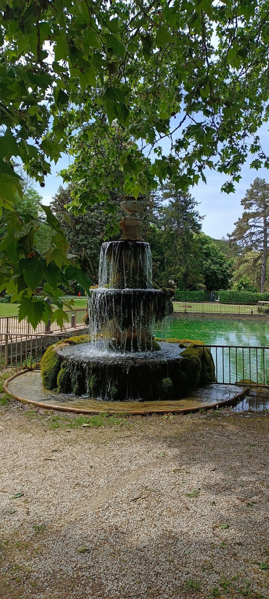 Img 20250519 120618